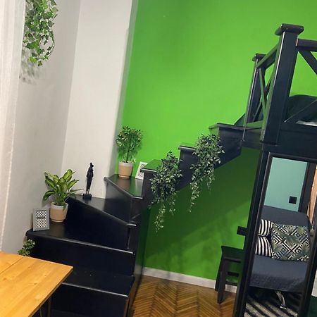 Green Vibes Central براشوف المظهر الخارجي الصورة