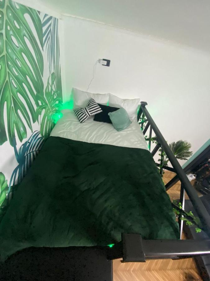 Green Vibes Central براشوف المظهر الخارجي الصورة