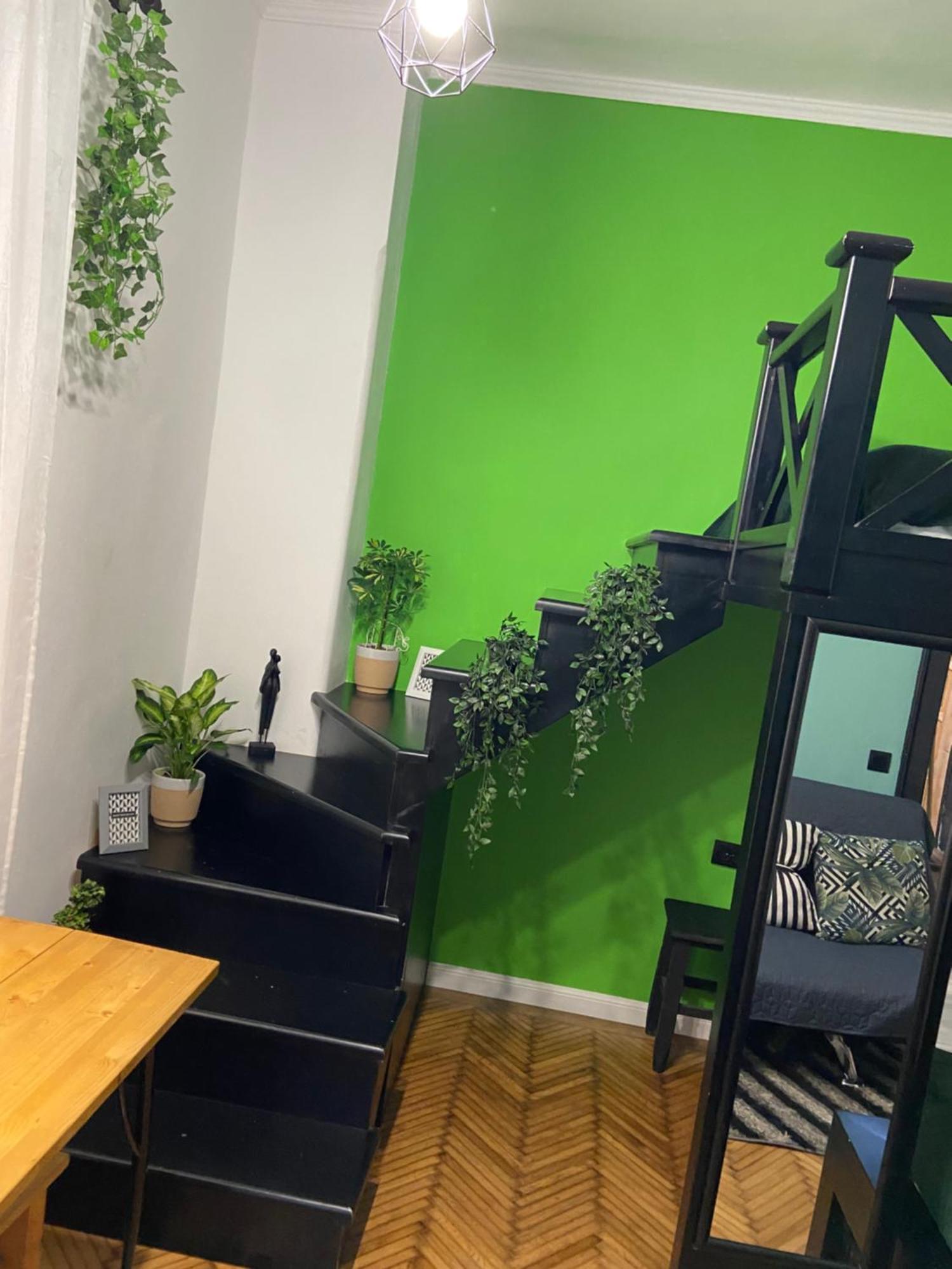 Green Vibes Central براشوف المظهر الخارجي الصورة